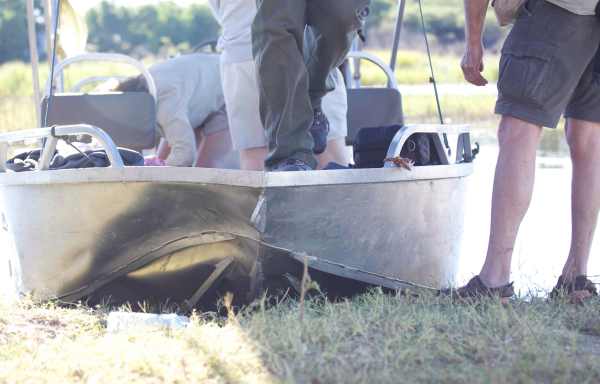 hippo-boating-accident-okovango-delta-botswana